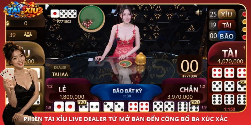 Phiên Tài Xỉu Live Dealer từ mở bàn đến công bố ba xúc xắc