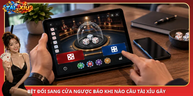 Bệt đổi sang cửa ngược báo khi nào cầu Tài Xỉu gãy